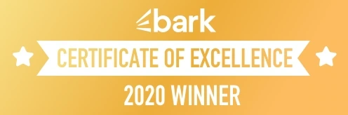  Cert - Excellence - 2020 - Large